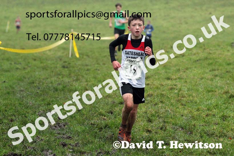 Boys under-13s, NECAA Junior Cross Country Relays, Thornley Farm, Peterlee, Saturday, December 12th. Photo: David T. Hewitson/Sports for All Pics